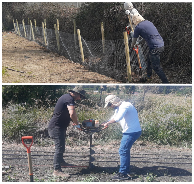 hombres trabjando bordes florales