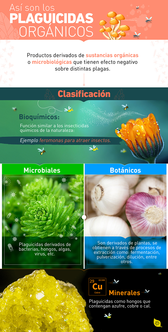 Infografia Plaguicidas Organicos