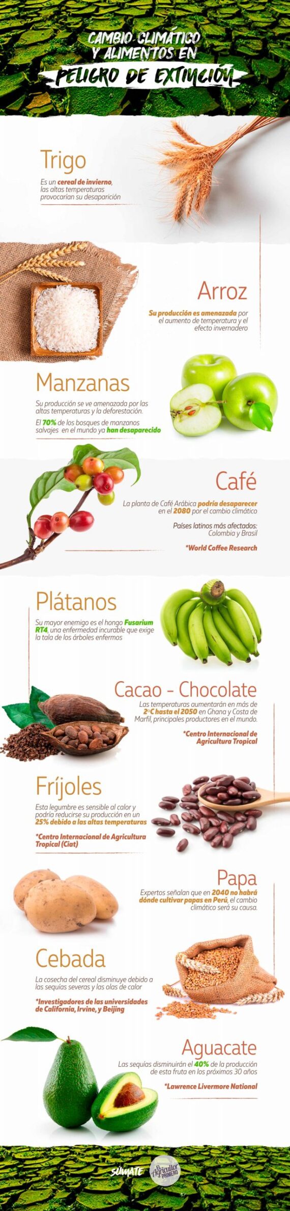 EAP Infografia Cambio climatico