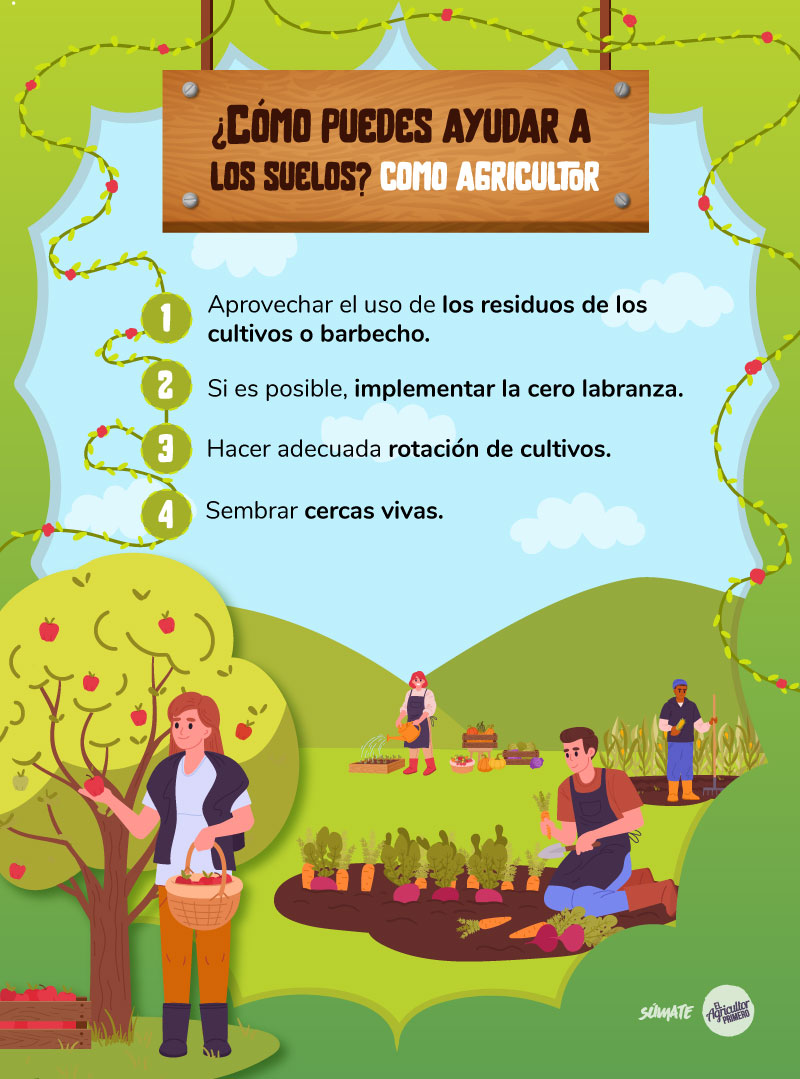 EAP infografia cuidado suelos