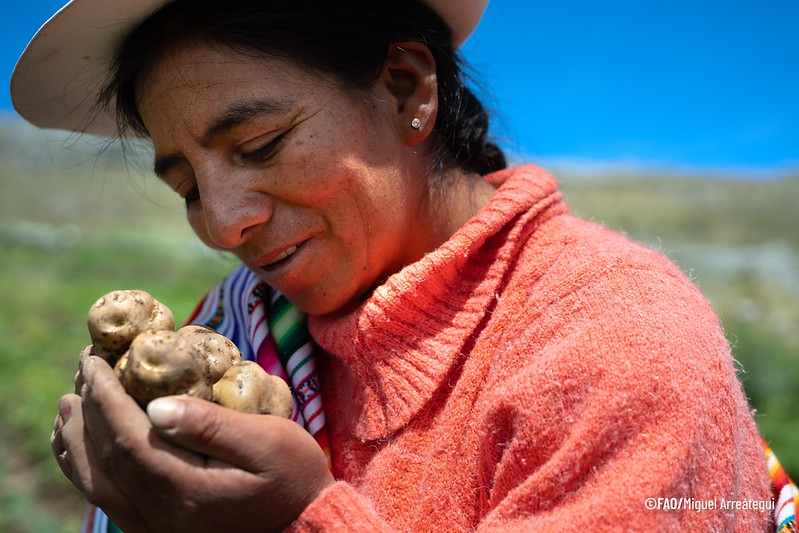 foto campesina papas fao