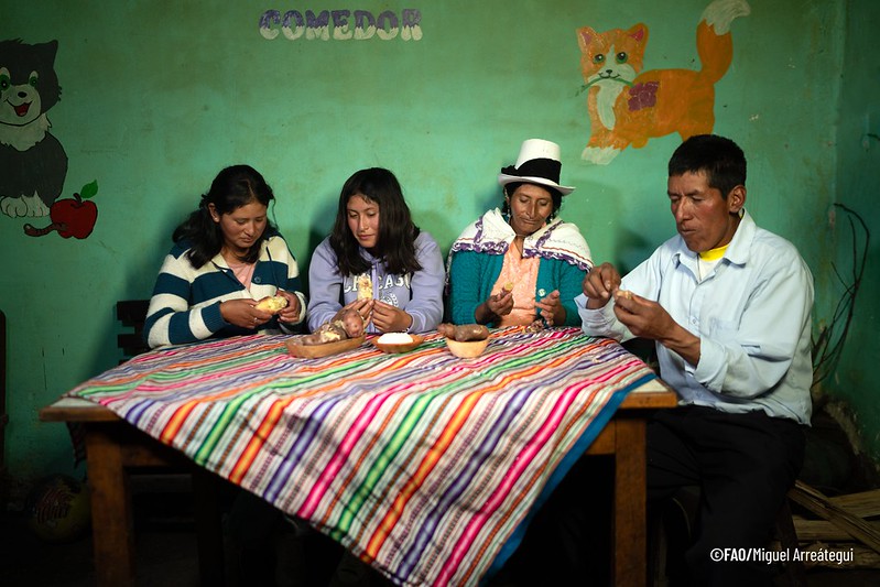 foto personas papas fao