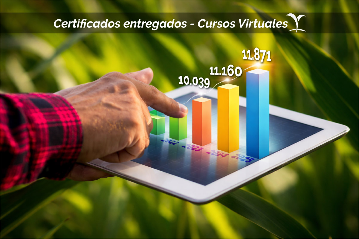 Grafico 3D en campo agricola