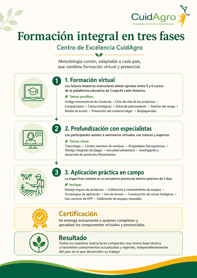 centro excelencia infografia baja