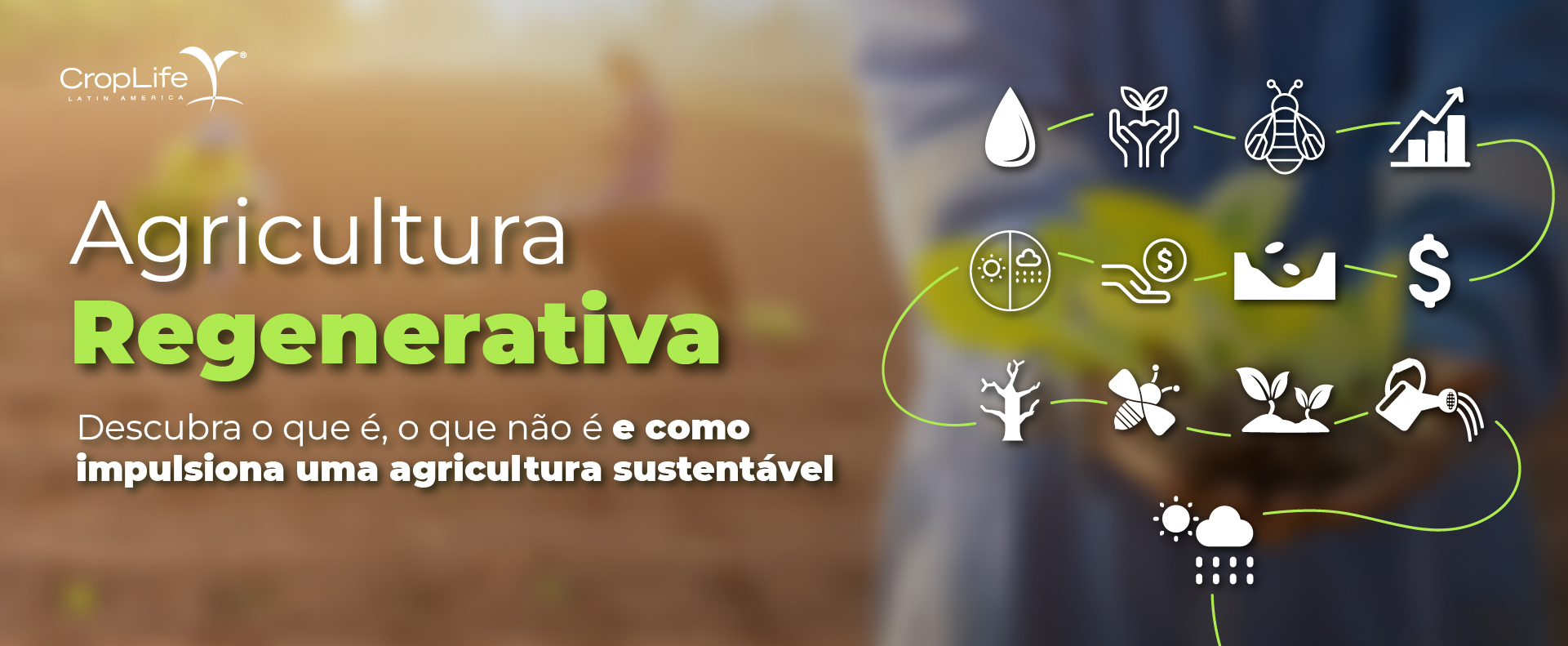 Agricultura Regenerativa
