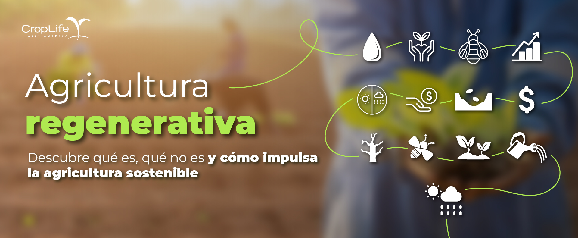 Agricultura Regenerativa