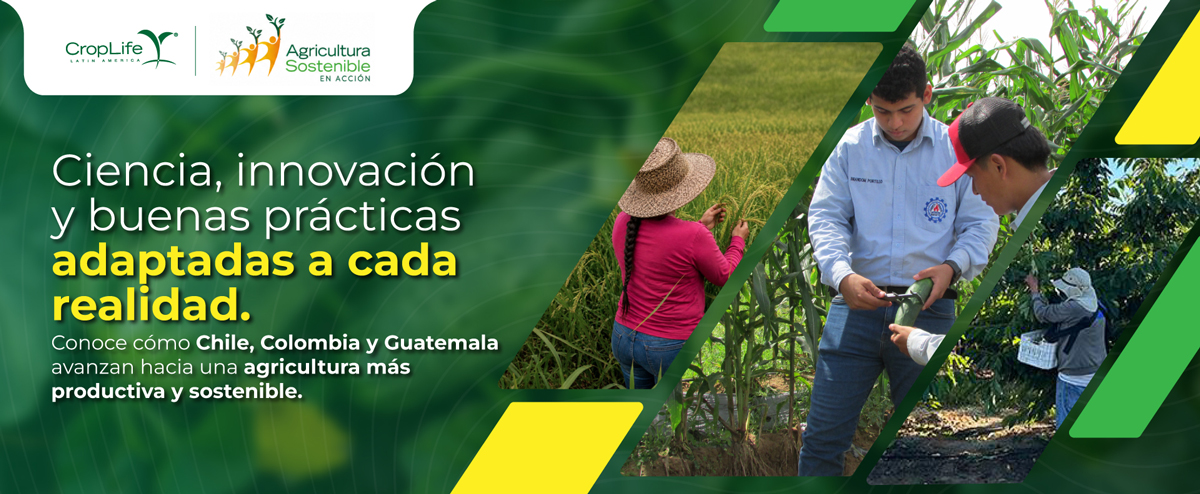 Agricultura Sostenible en Acción Agricultura Sostenible en Acción