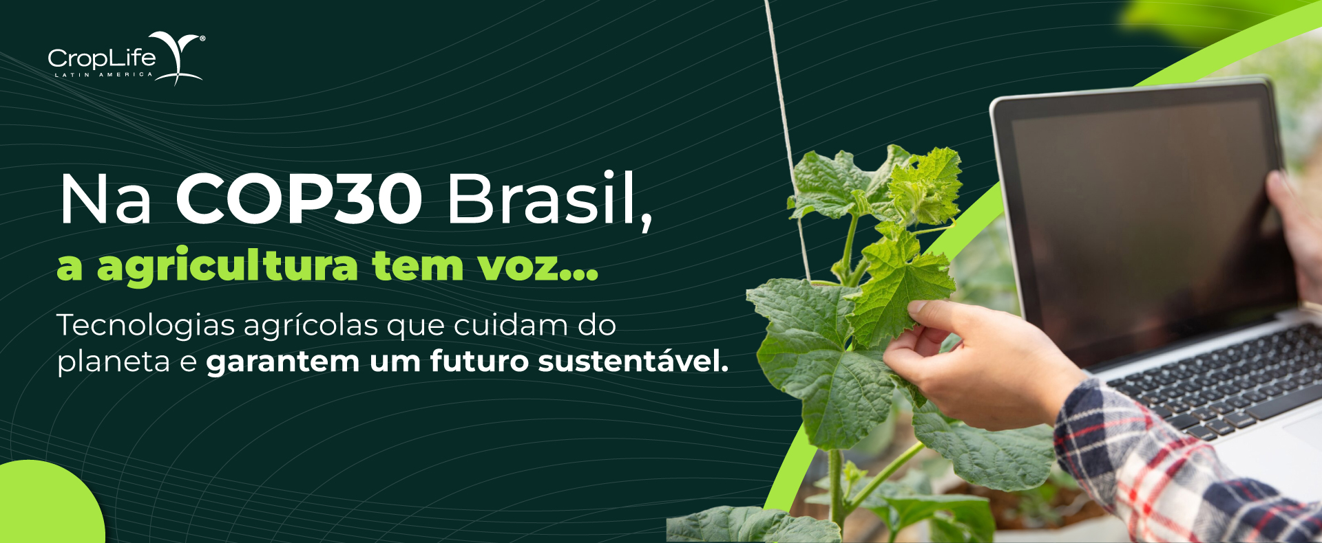 COP30 Brasil COP30 Brasil