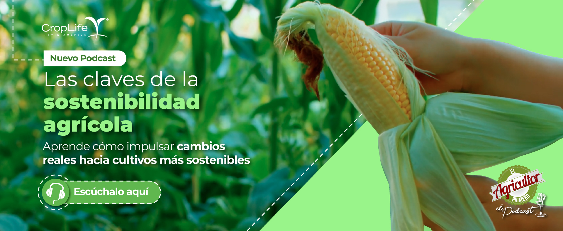 Infome Anual 2026 CropLife Latin America Infome Anual 2026