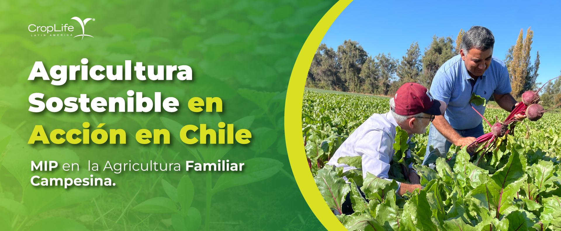Agricultura Sostenible
