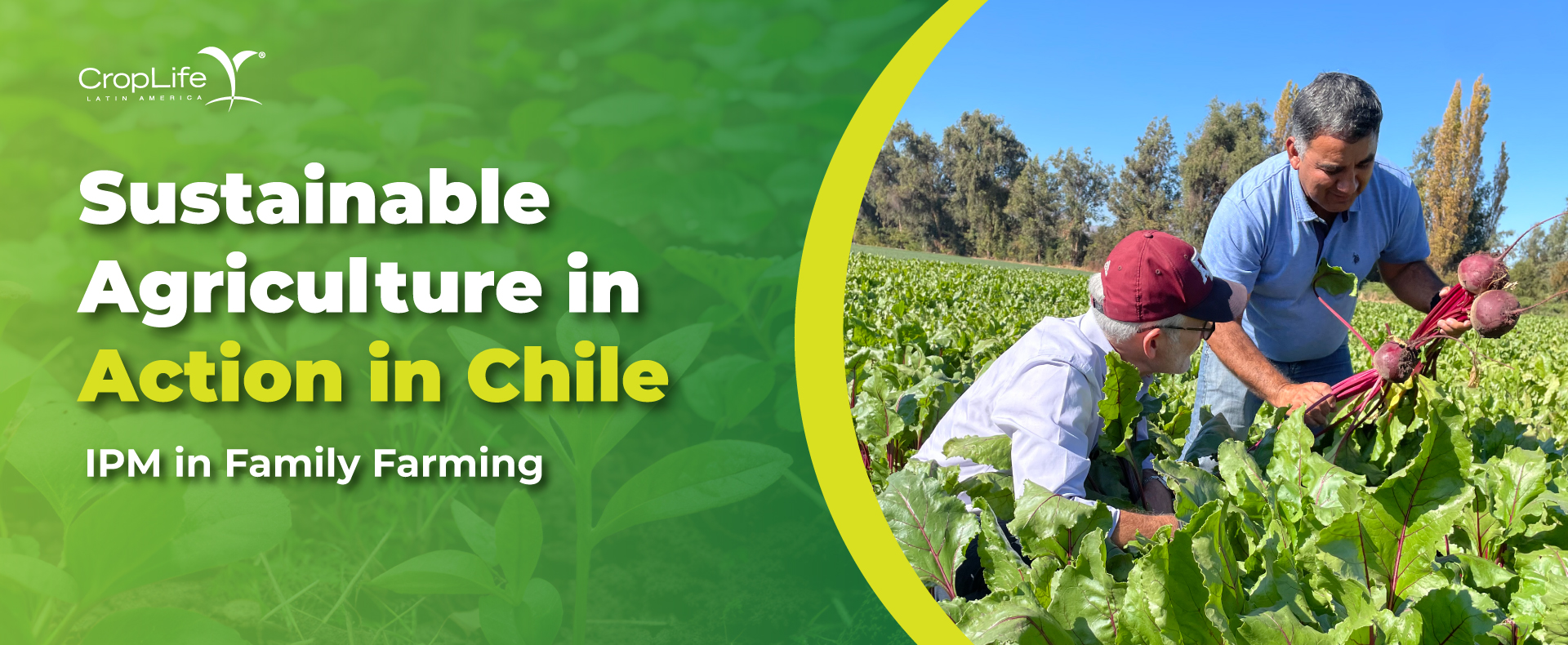 Sustainable agriculture MIP
