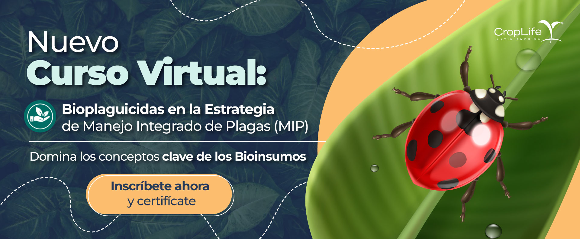 Nuevo curso Bioplaguicidas