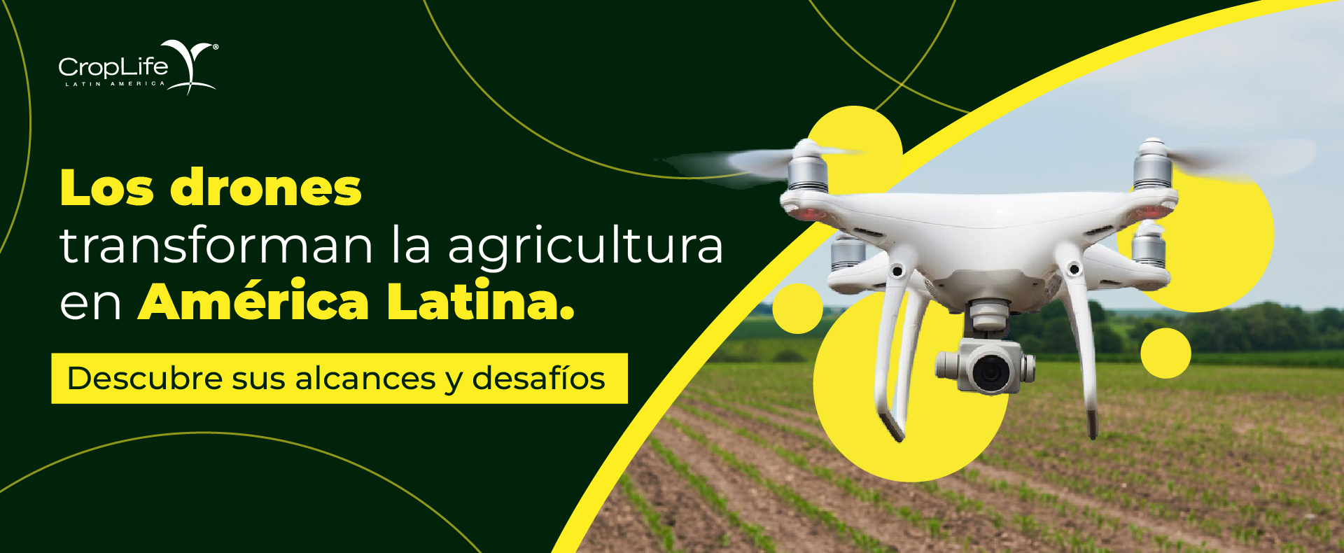 Agricultura Sostenible en Acción
