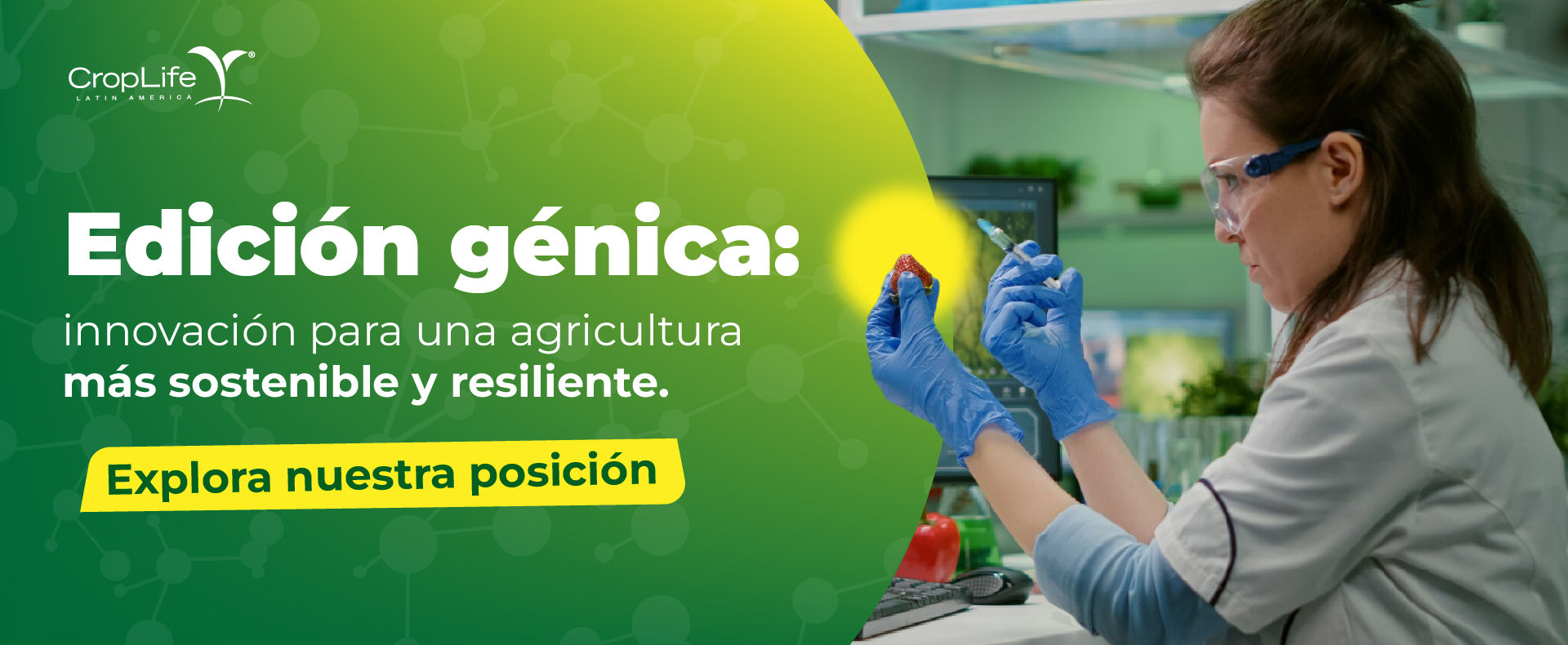 Agricultura Sostenible en Acción