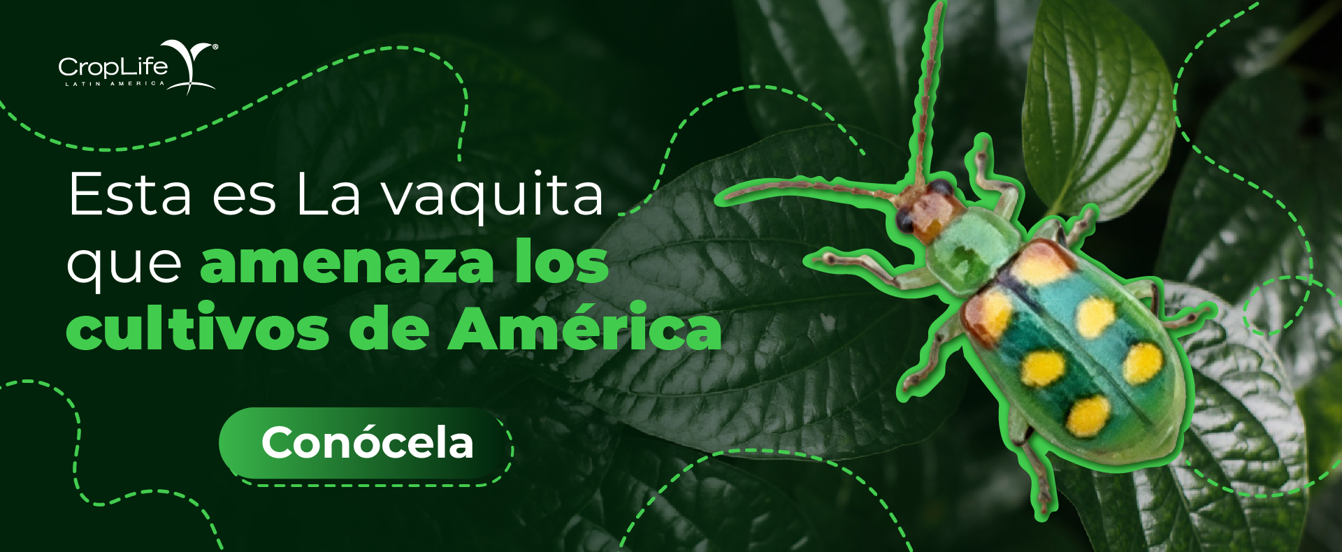 Agricultura Sostenible en Acción