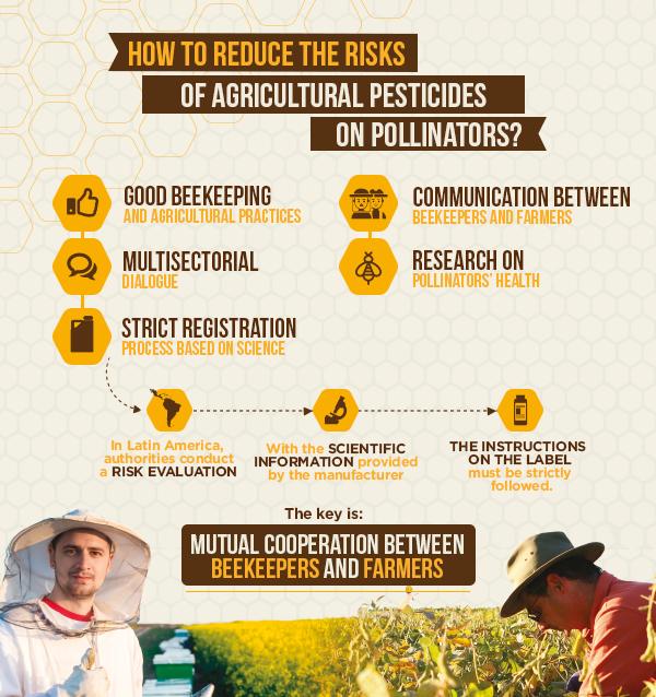 PollinatorsInfographic