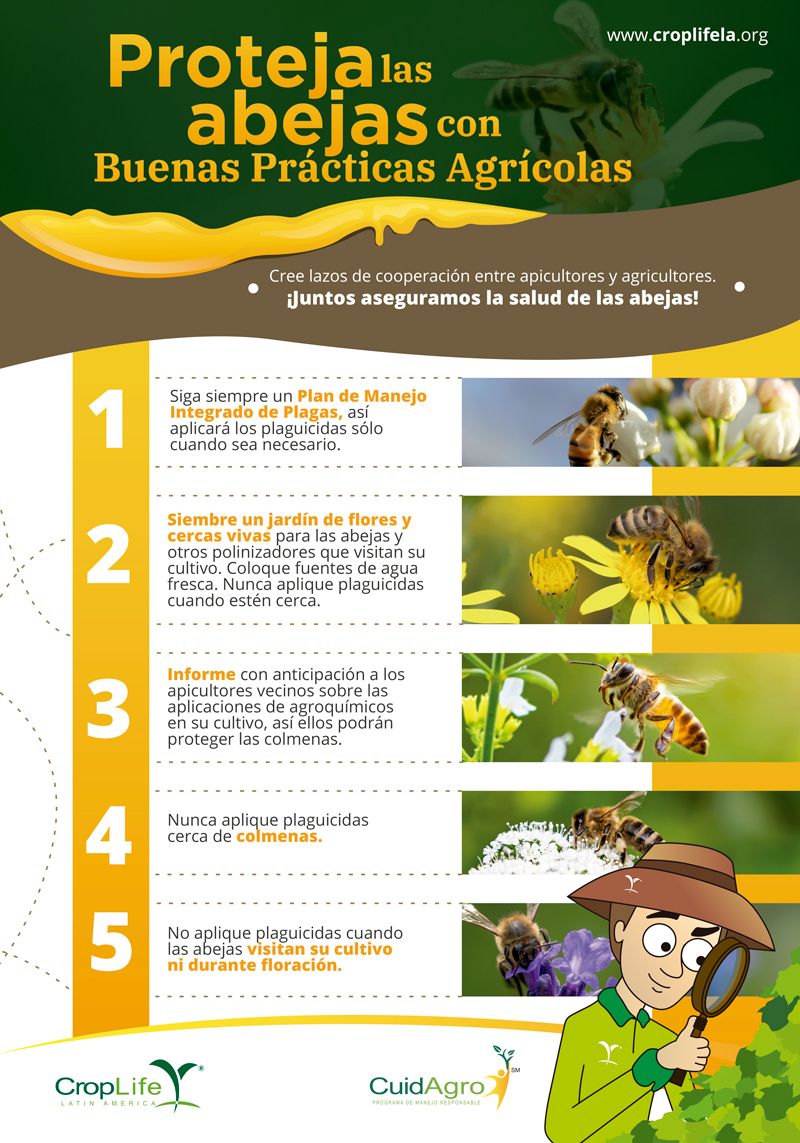 Proteja las abejas con buenas prácticas agrícolas