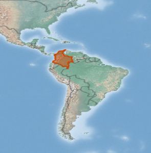 Chinche del aguacate en Colombia