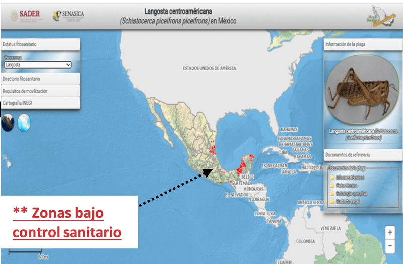Langosta Centroamericana Senasica Mexico - Mapa
