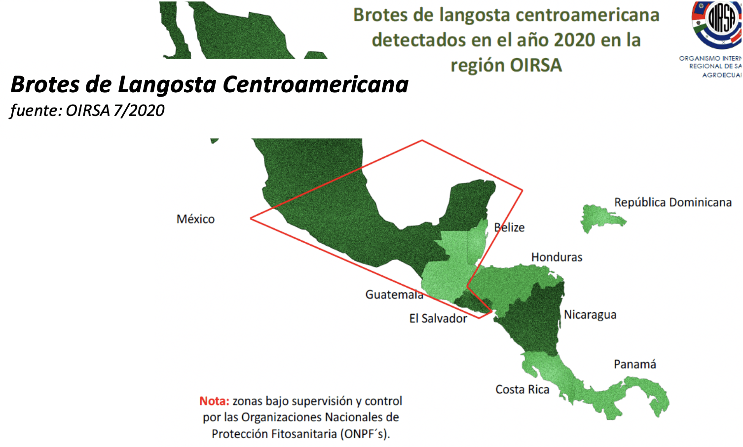 Brotes Países Langosta Centroamericana