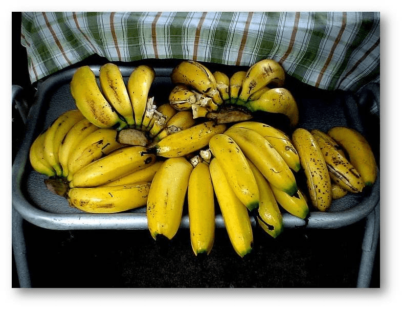  Variedad de Banano Gros Michel 
