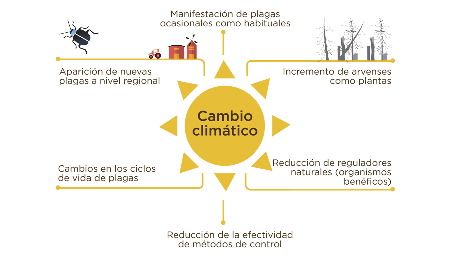 Efectos-Cambio-Climatico-en-Agricultura