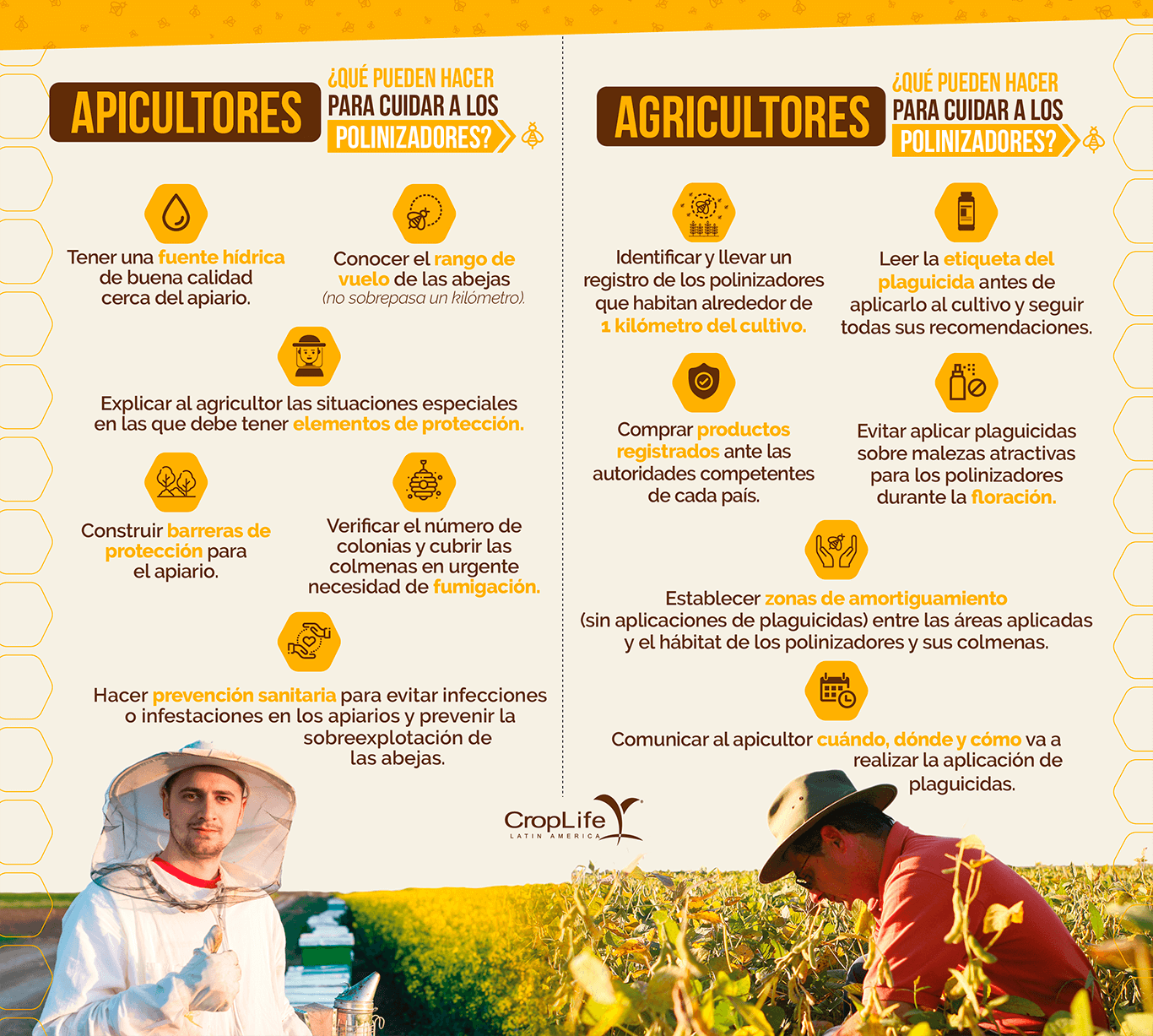 Infografia Apicultores y Agricultores