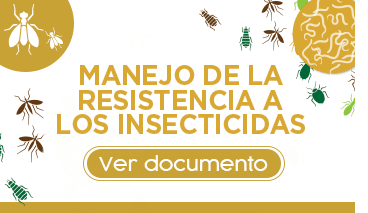 Insecticidas_documento