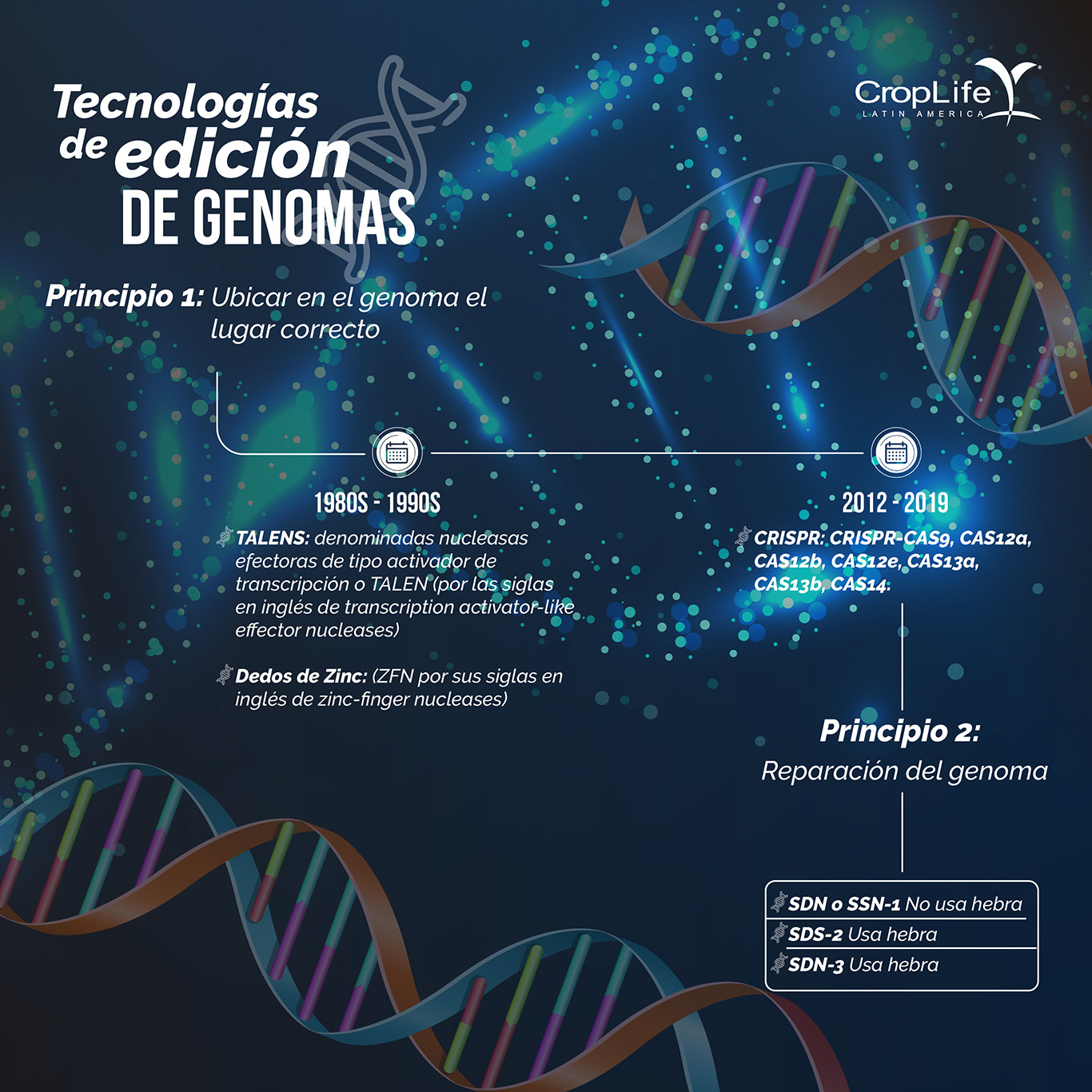 Tecnologías_edición_genomas
